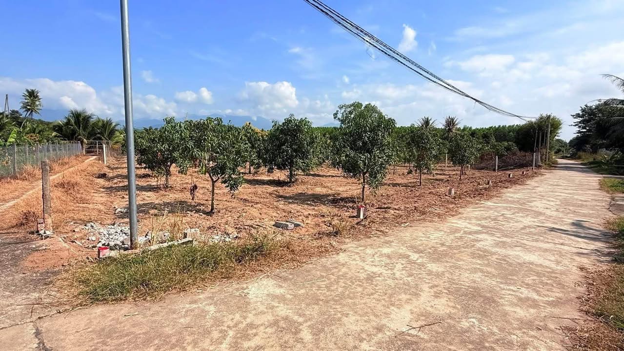 Đất nền Suối Tiên, Diên Khánh 135m² - Đất thổ cư 100% sổ đỏ!