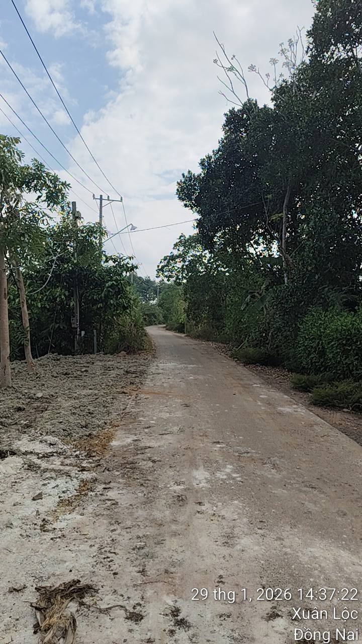 Đất Nền Thọ Hòa - 1004m² Mặt Tiền Nhựa - Giá 730 Triệu - Sổ Hồng Sẵn Sàng