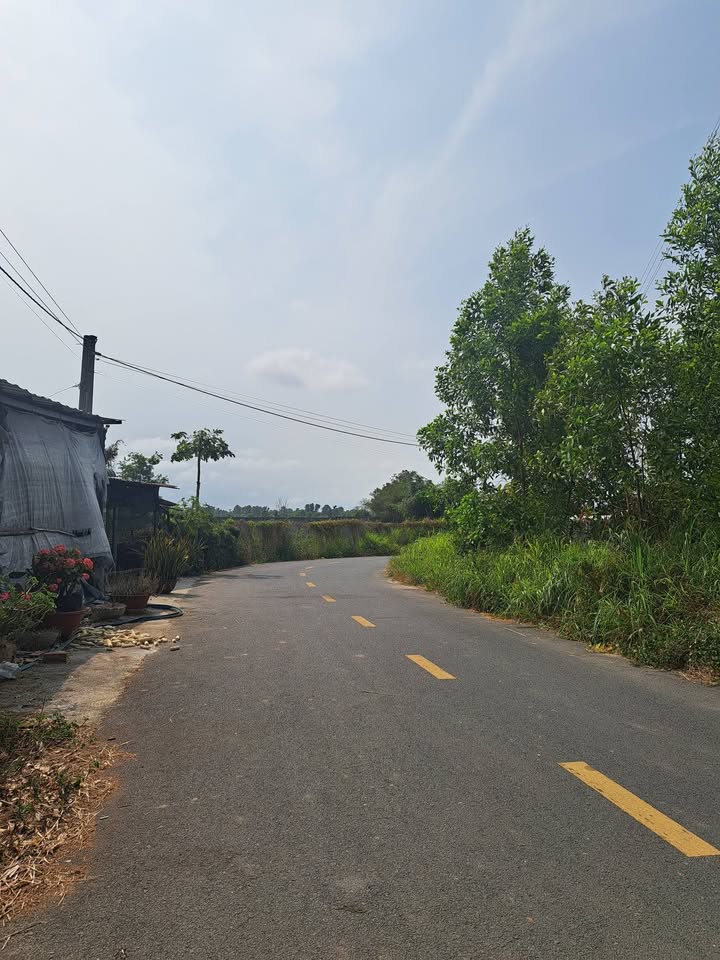 Bán Đất Vườn Phước Hội, Long Đất 853m² - Giá 1.5 Tỷ, Sẵn Nhà Thô