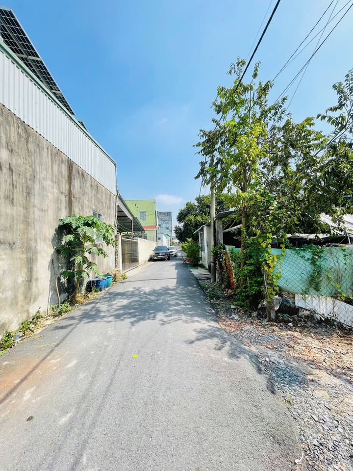 Đất Vàng Củ Chi 3587m² Thổ Cư Sẵn - Cơ Hội Đầu Tư Sinh Lời Cao