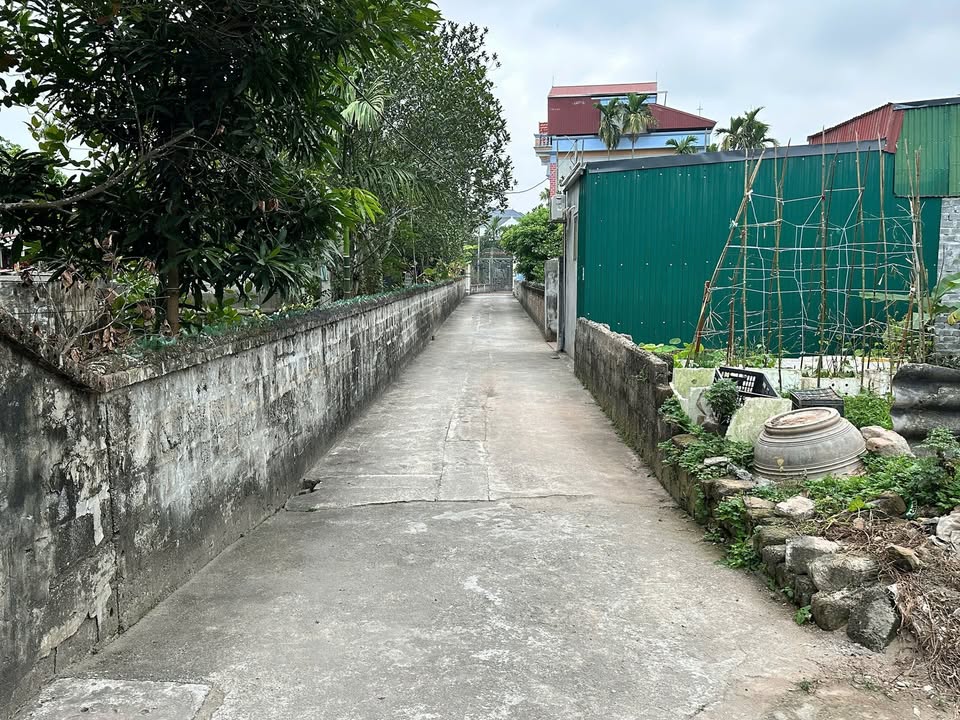 Đất Vĩnh Trụ, Lý Nhân, Hà Nam - 186m² - Ngõ Ô Tô - Giá Tốt