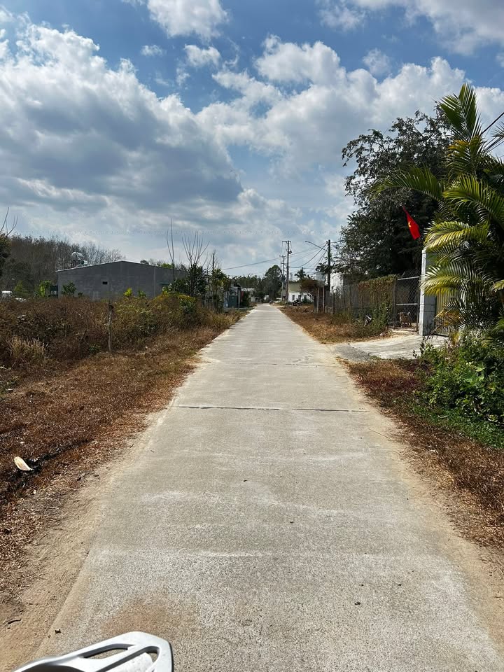 Đất Vườn Đắk Cấm 500m² - Sổ đỏ chính chủ, tiềm năng tăng giá!