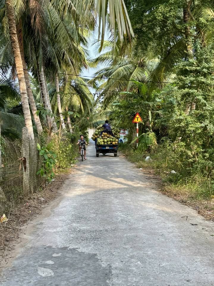 Đất vườn Bình Trưng Châu Thành 1469m² - Nghỉ dưỡng lý tưởng view kênh!