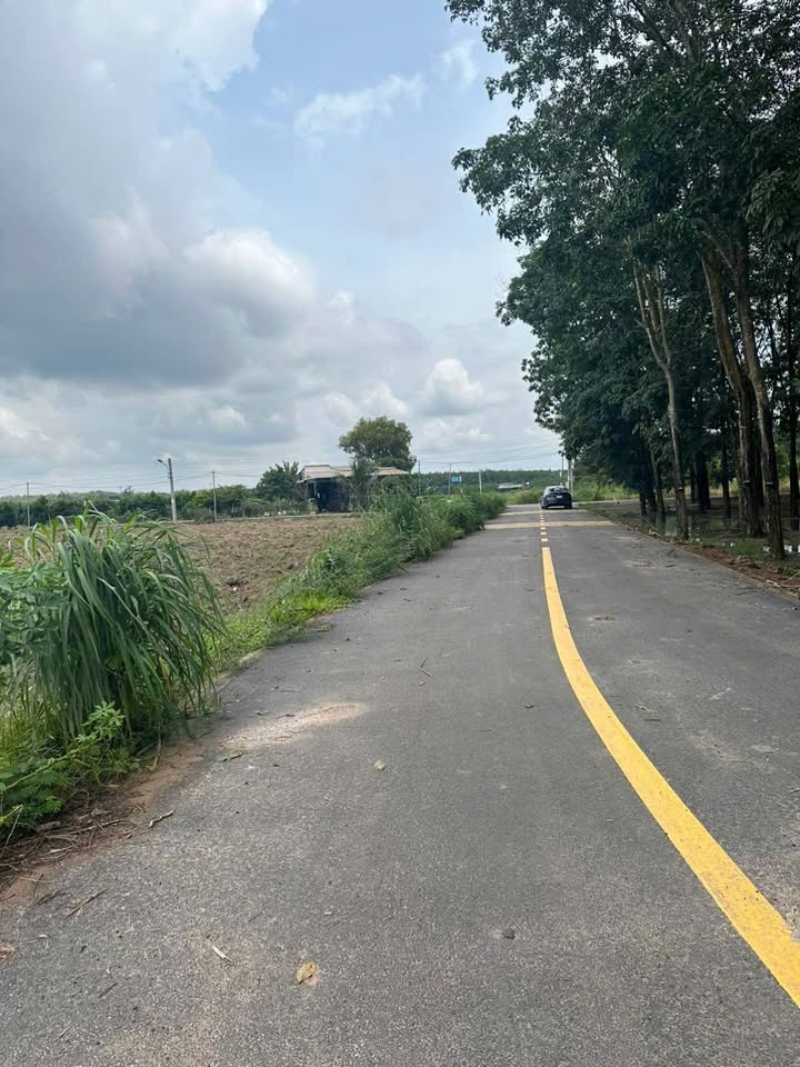 Đất nền Phú Giáo 223m² giá 600 triệu - Sổ đỏ chính chủ!