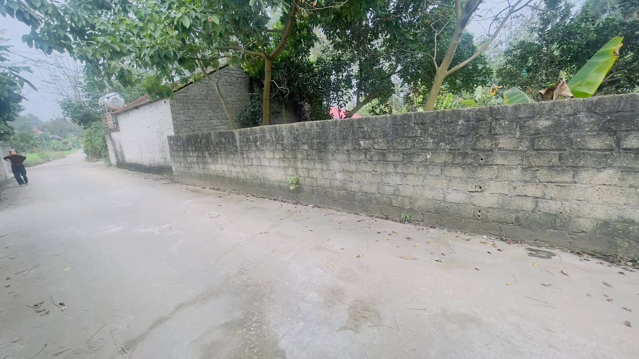 Đất nền Thị trấn Tam Sơn 120m² - Xây dựng tự do!