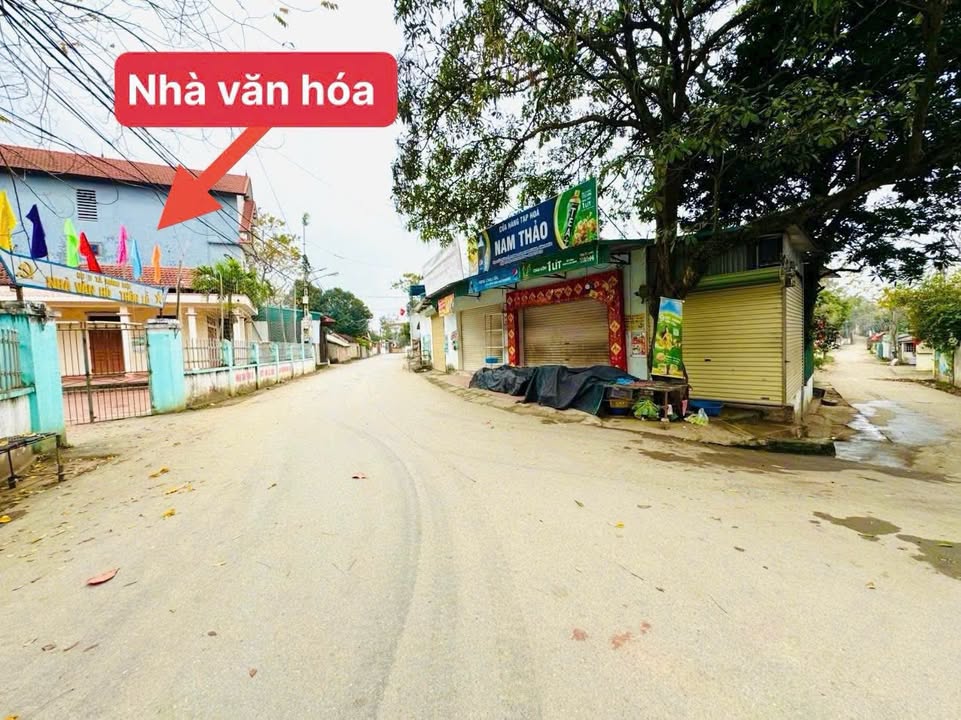 Đất Vàng Hoàng Đan Tam Dương 100m² - Mặt Tiền 6m Kinh Doanh