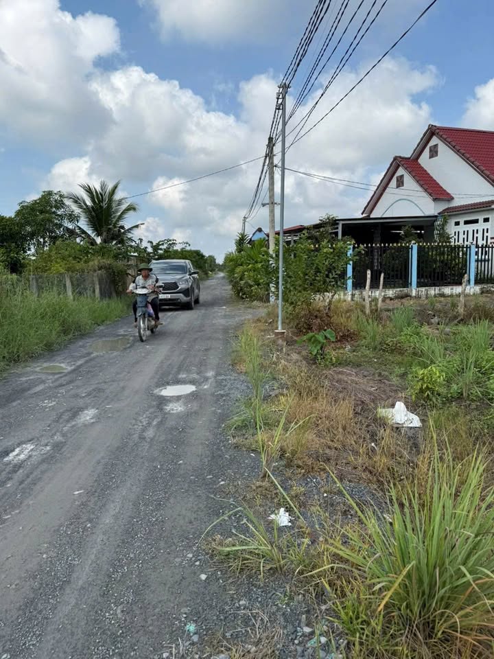 Đất Vườn Bến Lức 1000m² - Sổ Hồng Riêng, Xe Tải Tới Đất