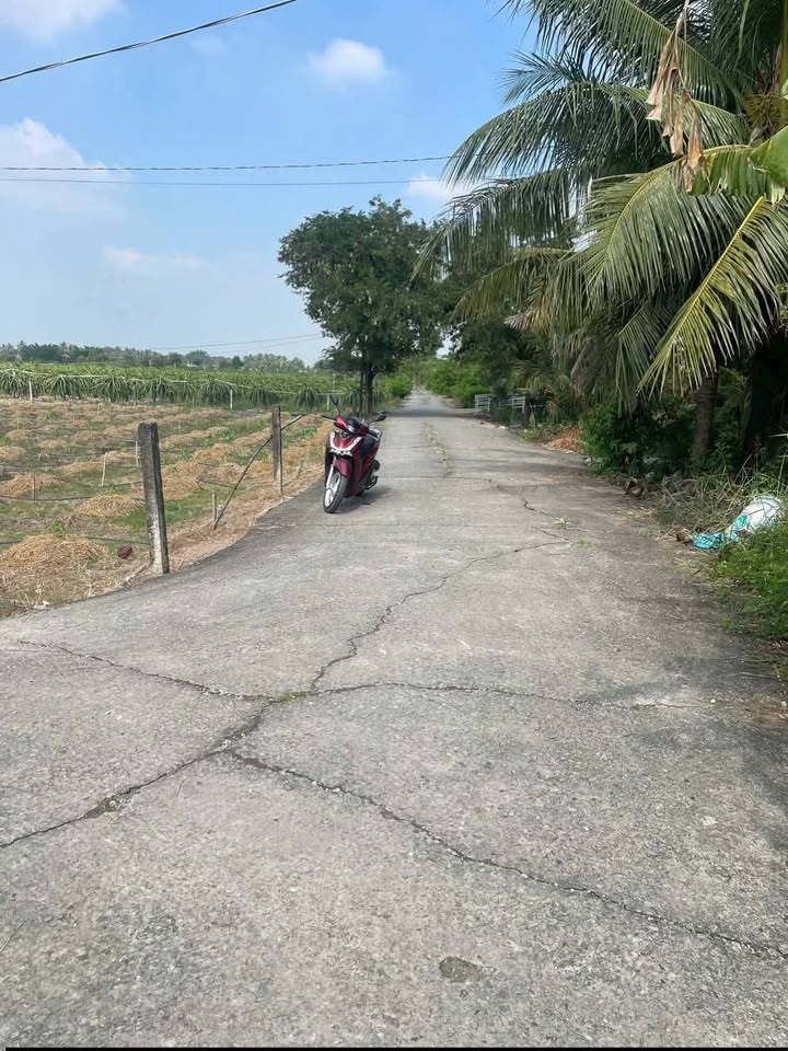 Đất vườn Hiệp Thạnh Châu Thành 1200m² 1.15 tỷ - Nghỉ dưỡng lý tưởng!