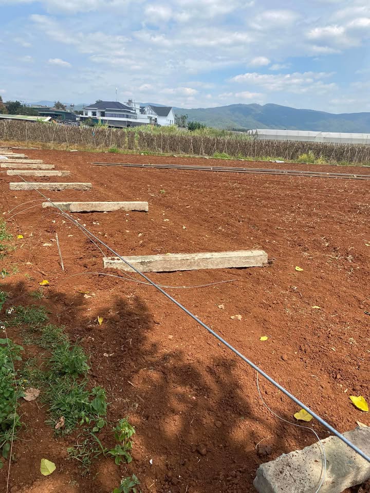 Bán Đất Sào 1080m² Lâm Đồng - Sẵn Sàng Xây Dựng