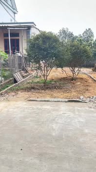 Bắc Giang: Đất nền 111.3m² TDP Tân Sơn, Việt Yên - Sẵn Sàng Đầu Tư