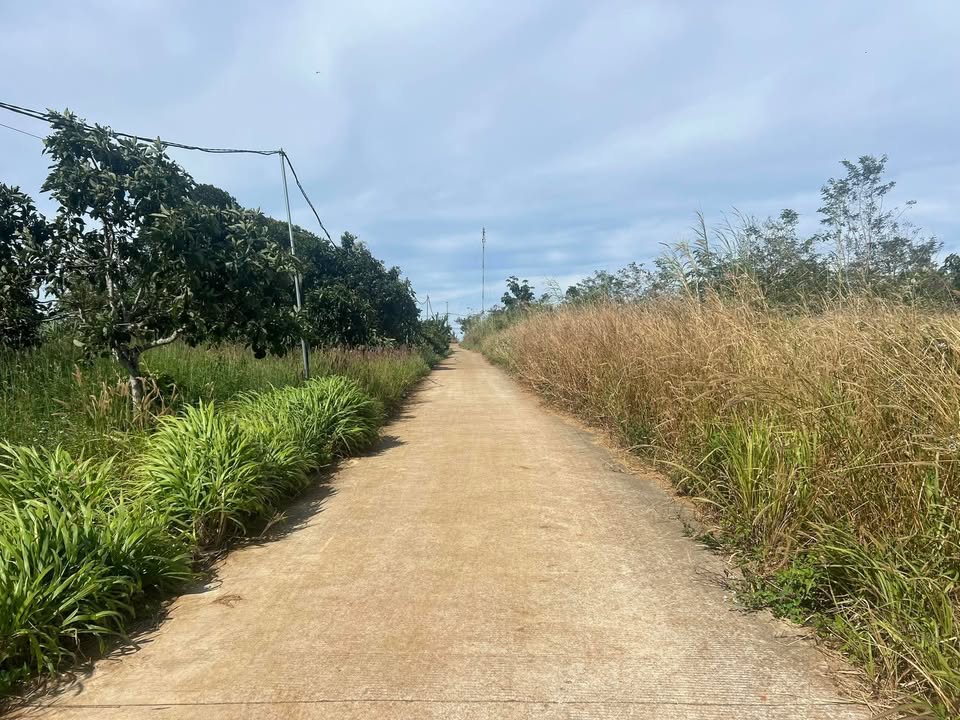 Đất nền Phường Nghĩa Thành, Gia Nghĩa 630m² - Sổ đỏ chính chủ