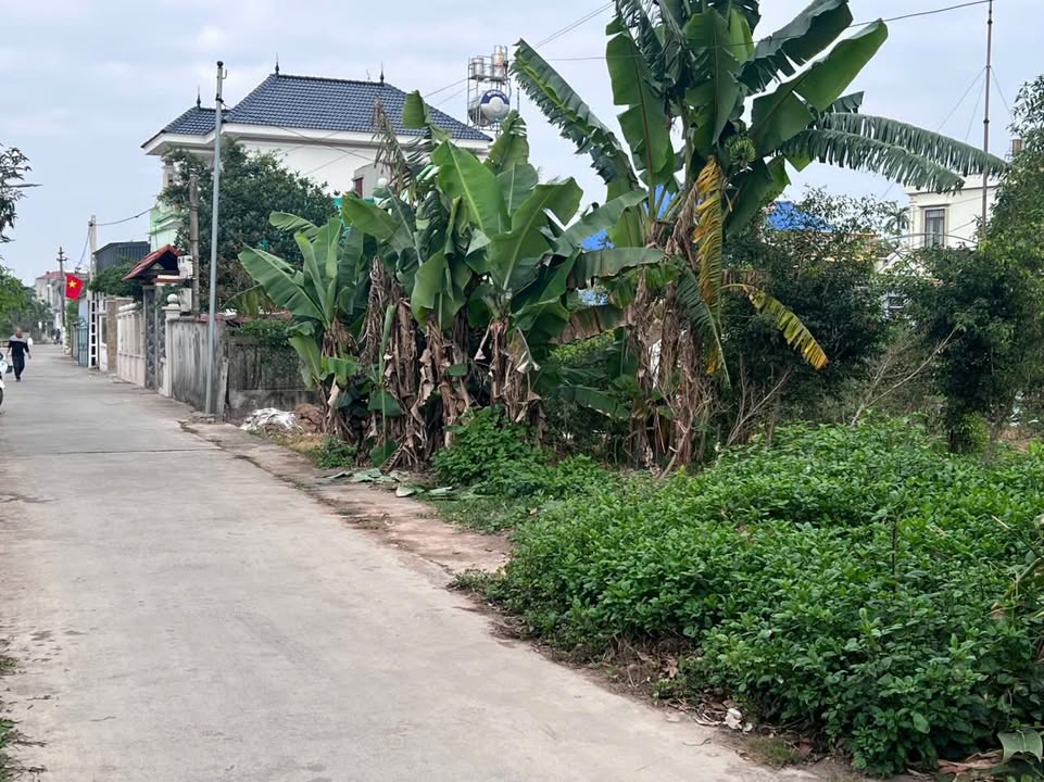 Đất nền Hải Hậu 409m² - Đường ô tô thông thoáng, gần KĐT Hải Hưng