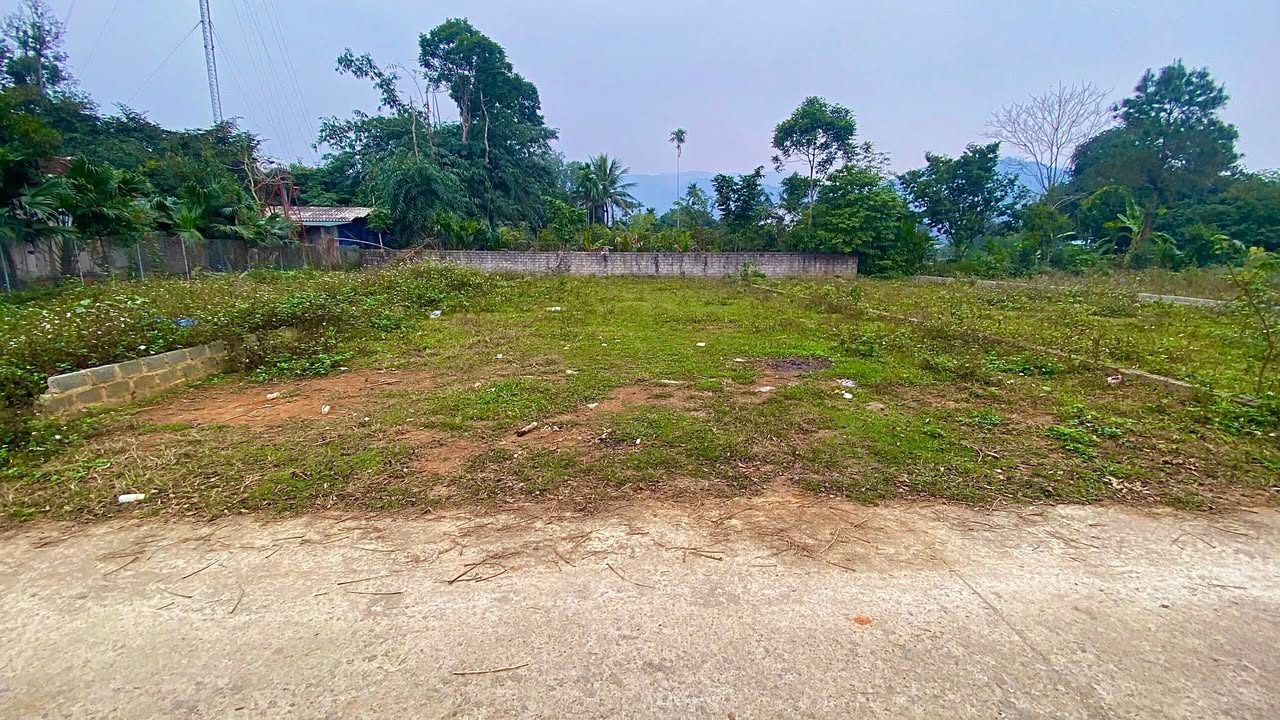 Đất Nền Ba Vì 300m² - Sổ Đỏ Sẵn, Giá Chỉ 8 Triệu/m²