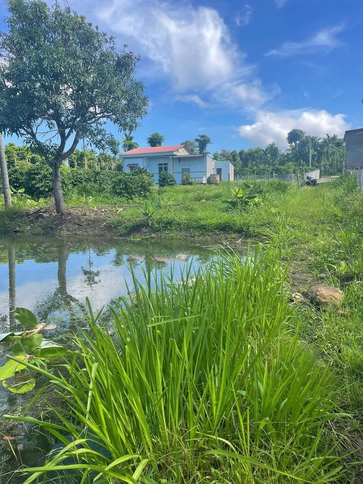 Bán đất vườn Ea Ning Cư Kuin 5.300m² giá 2.1 tỷ - Nghỉ dưỡng lý tưởng!