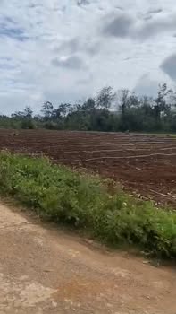 Đất NN Cư Kuin 5300m² - Sổ Vuông Vừa Tiền - Sẵn Sàng Đầu Tư