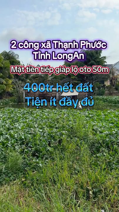 Bán gấp Farm 2000m² tại Long An - Chỉ 400 triệu, thích hợp định cư làm vườn