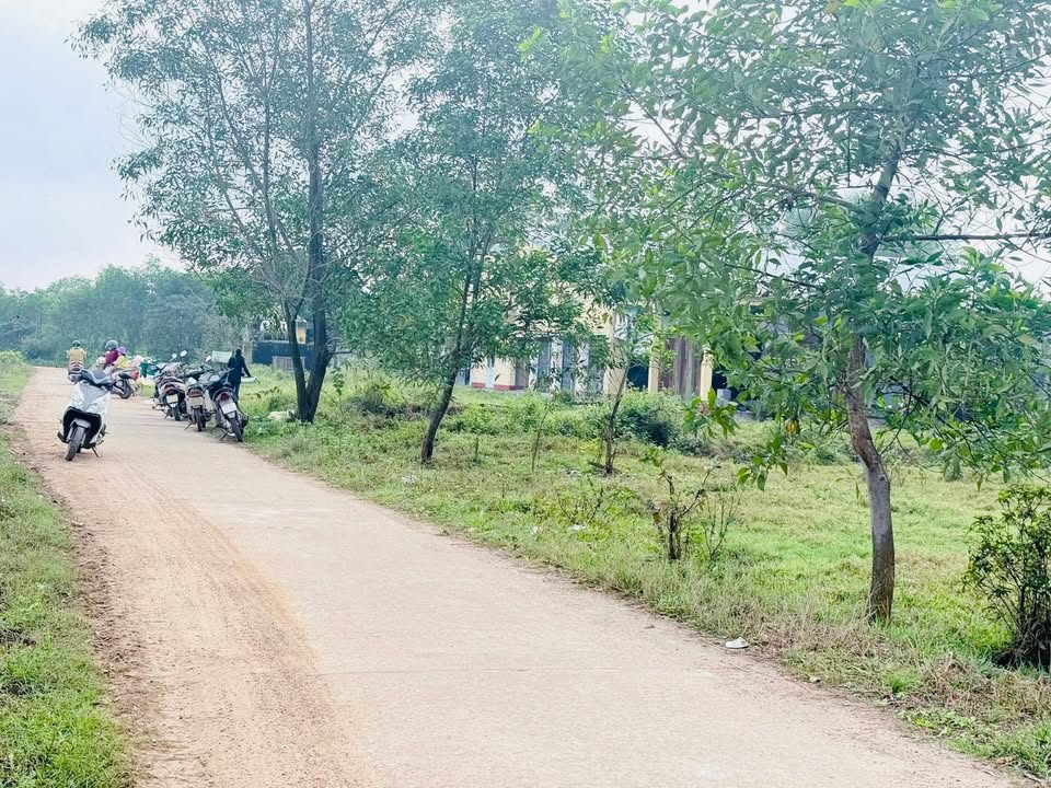 Đất vườn Phong Xuân Huế 1000m² giá 115 triệu - Đầu tư dài hạn