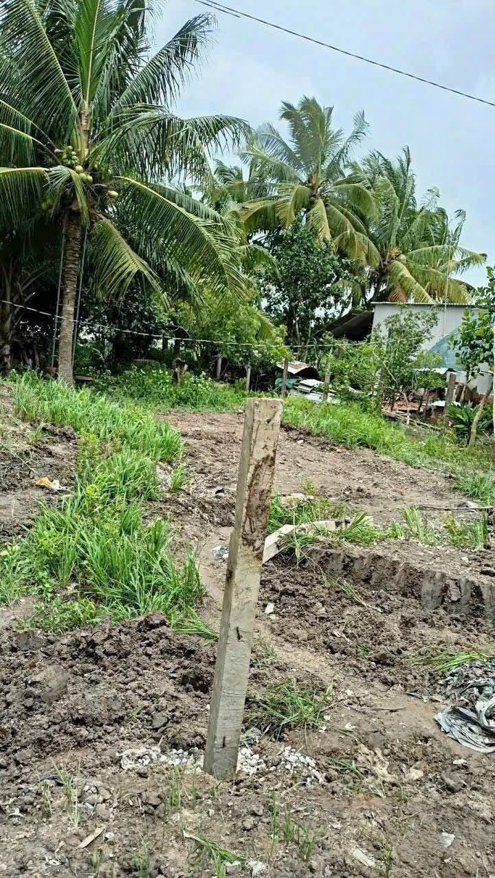 Đất nền Tân Hạnh Long Hồ 263m² giá 920 triệu - Sổ đỏ chính chủ