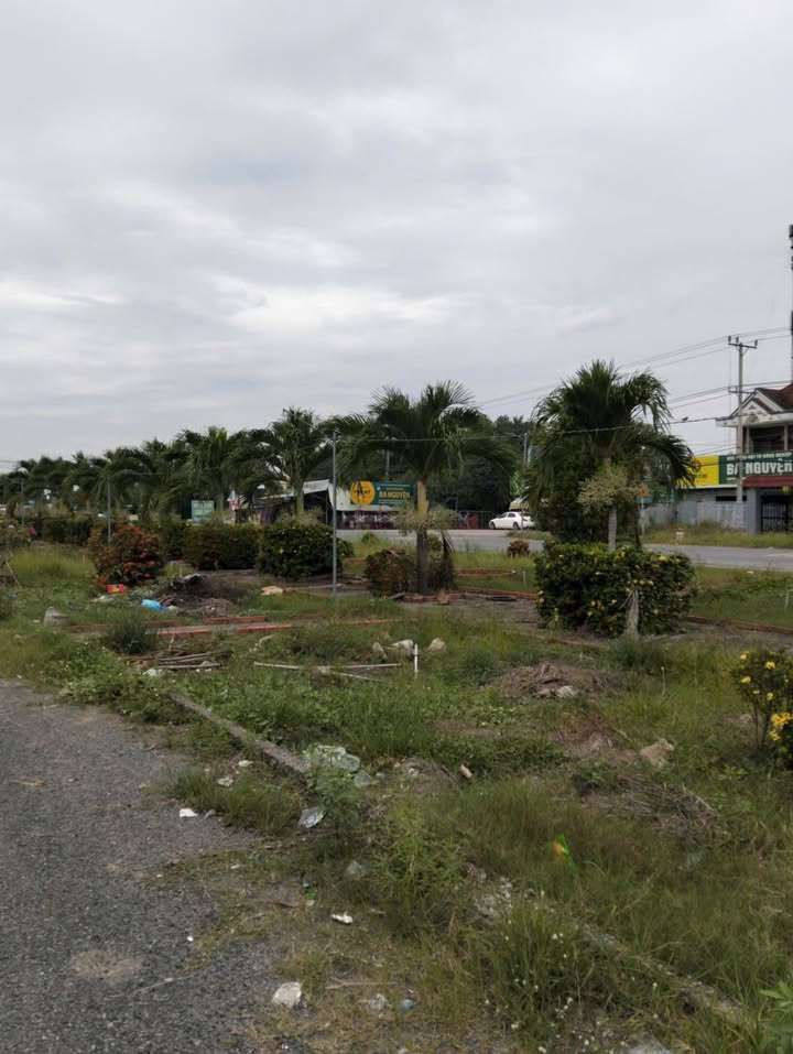 Đất thổ cư Tân Tây Thạnh Hóa 80m² 1.55 tỷ - Sổ đỏ chính chủ