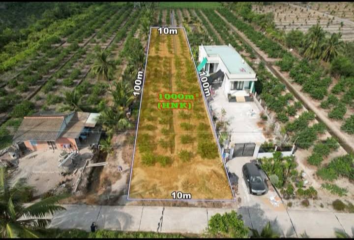 Đất nền Ba Vồn Lớn, Bến Lức 1000m² - Sổ đỏ chính chủ!