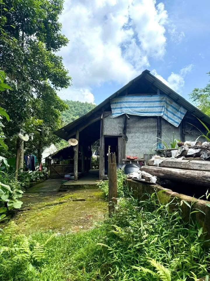 Đất nền Phú Thọ 270m² sổ đỏ, giá chỉ 180 triệu - Tặng nhà gỗ