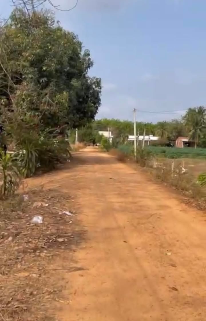 Đất nền Tân Biên, Tây Ninh 200m² giá chỉ hơn 200 triệu - Sổ đỏ sẵn sàng