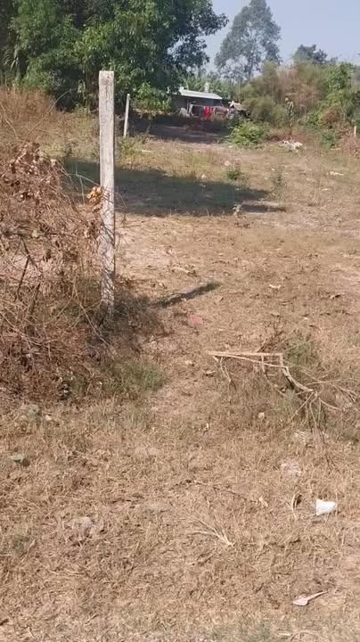 Đất Nền Gò Dầu Tây Ninh - 1216m² Sát Cụm CN Thanh Điền, Giá 2.5 Tỷ