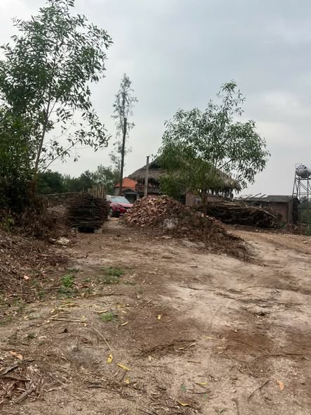 Lô Đất Nghỉ Dưỡng Kiến An 17.000m² chỉ 1.1 tỷ - Nghỉ dưỡng lý tưởng!