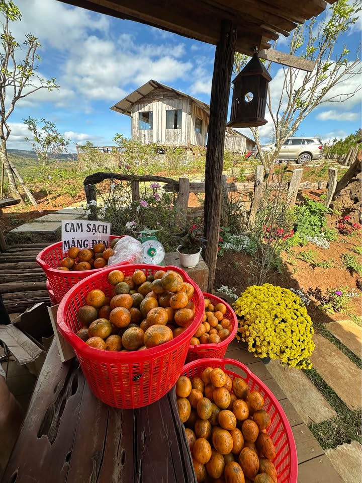 Đất nền Hẻm 390 P. Hoa Lư Pleiku 103m² - Xây dựng tự do!