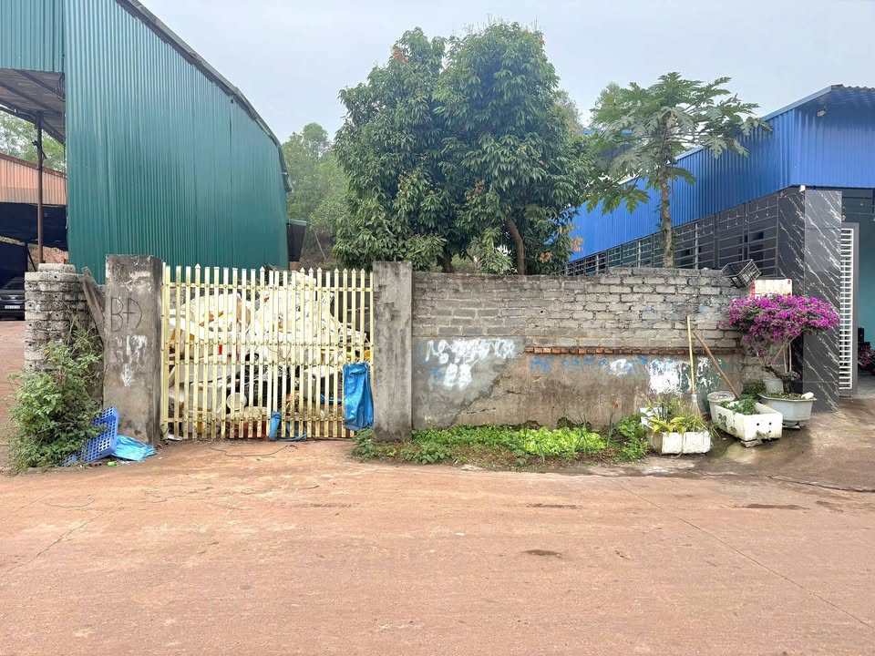 Đất Nền Lạng Giang 244m² - Trục Chính Thôn, 9xx Triệu - Đầu Tư Sinh Lời