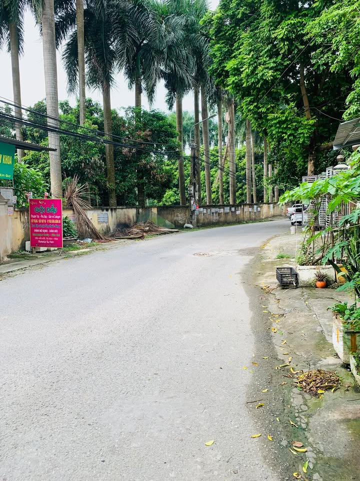 Đất nền Từ Diên, Việt Trì 1102m² - Sổ đỏ chính chủ, mặt đường lớn!