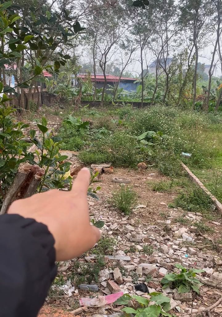 Đất nền Đông Anh 162m² chỉ 2.106 tỷ - Sổ đỏ chính chủ!