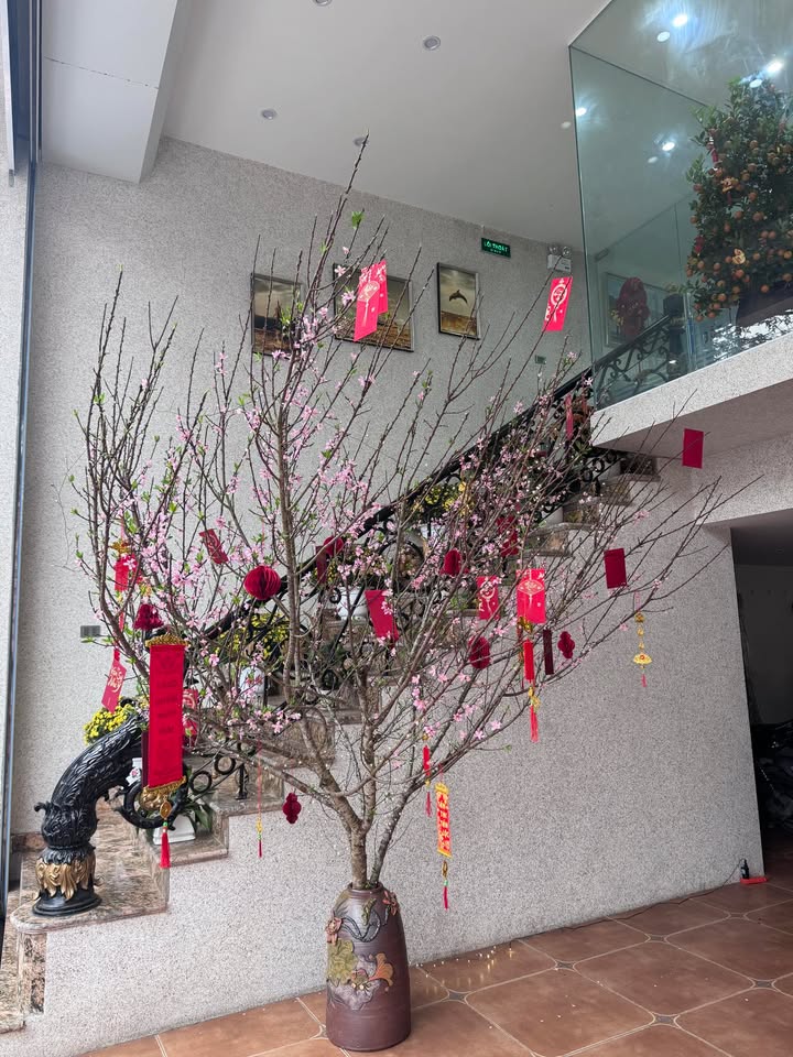 Đất nền KĐT Tam Đa, Yên Phong 97.5m² giá 2.9 tỷ - Đường to ô tô!