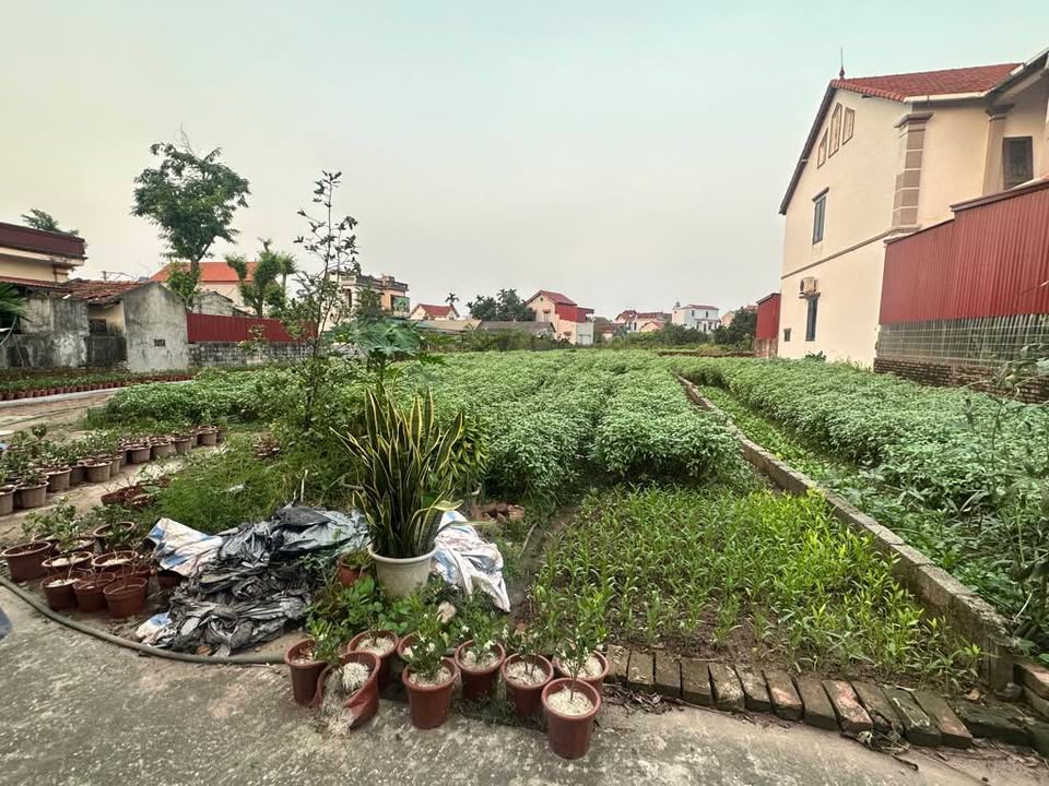 Bán đất nền 122.4m² Văn Giang, Hưng Yên - Sổ đỏ chính chủ, tiềm năng đầu tư