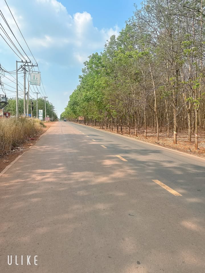 Đất Nền Bình Phước 20360m² Mặt Tiền DT756 - Dòng Tiền Sẵn Sàng