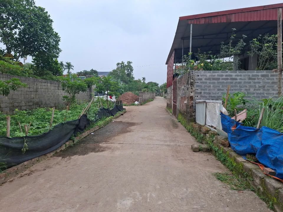 Đất nền 172m² Xã Phú Thọ, Kim Động, Hưng Yên - Sổ đỏ chính chủ