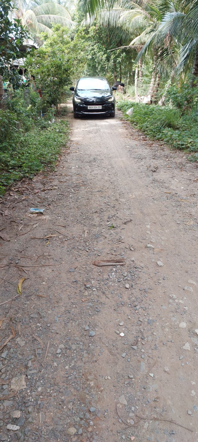 Đất Lúa Lên Thổ 700m² - Phương Trà, Cao Lãnh - Sổ Đỏ Chính Chủ