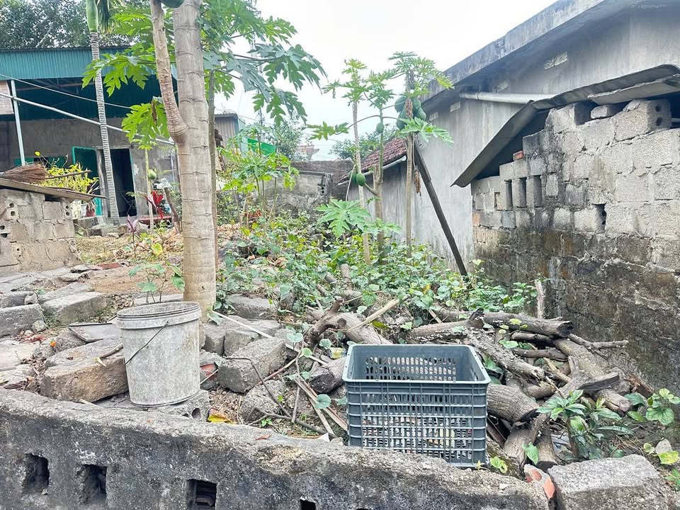 Đất nền Cẩm Thủy, Cẩm Phả 66m² - Sổ đỏ sẵn, ô tô vào nhà