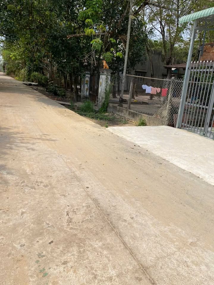 Đất nền Tân Châu Tây Ninh 225m² giá 250 triệu - Sổ hồng sẵn sàng!