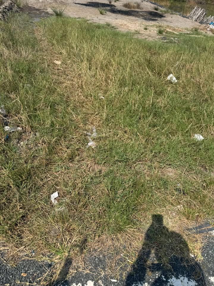 Đất nền Hòa Thành, Cà Mau 520m² - Sổ đỏ chính chủ, xây dựng tự do!