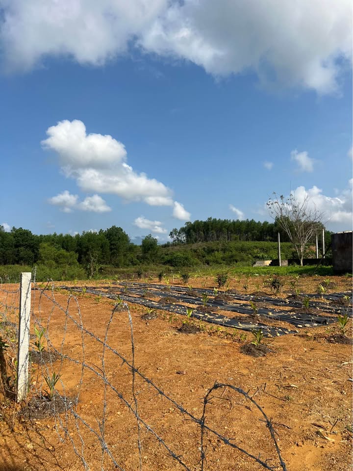 Đất vườn Hòa Khánh 2000m² - Cơ hội đầu tư dài hạn tại Đà Nẵng