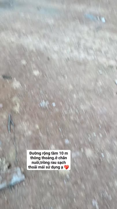 Đất Nền Cư Jút, Đắk Nông - 430m² Thổ Cư, Sổ Hồng Sẵn Sàng