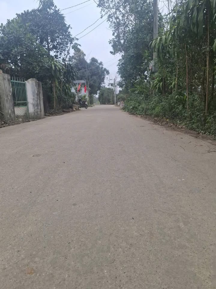 Bán đất Tam Điệp Ninh Bình 125m² giá 8xx triệu - Sổ đỏ chính chủ