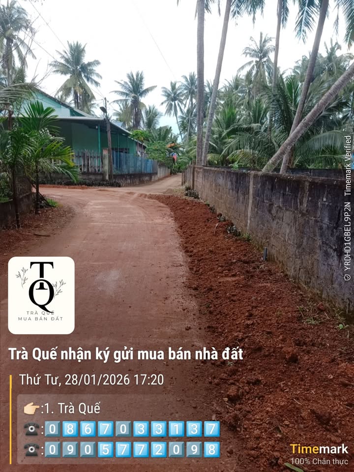 Đất nền Hoài Nhơn 252m² - Sổ đỏ chính chủ, đường to ô tô!