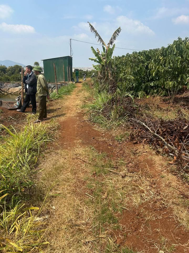 Đất Vườn Lâm Đồng 4741m² - Giá Đầu Tư 2.8 Tỷ Tại Đạ Ròn