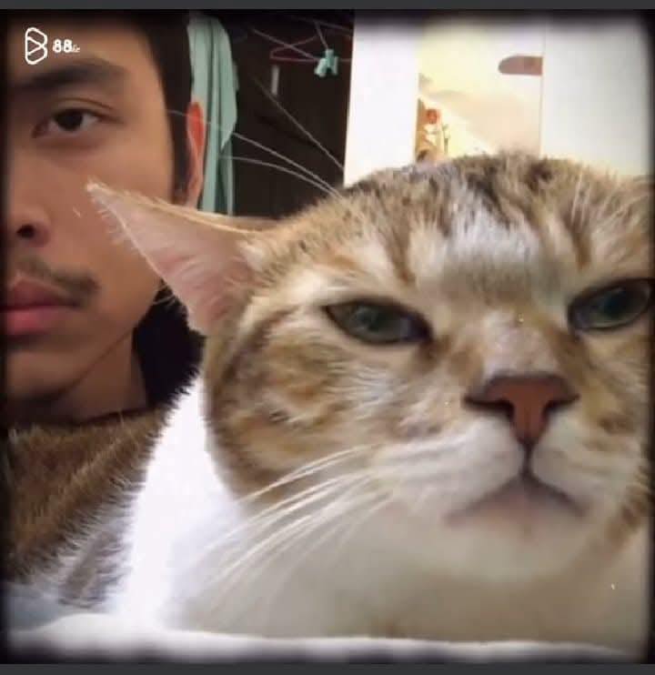 Đất Nguyễn Tường Loan Lê Chân 75m² giá 4.2 tỷ - Sổ đỏ chính chủ