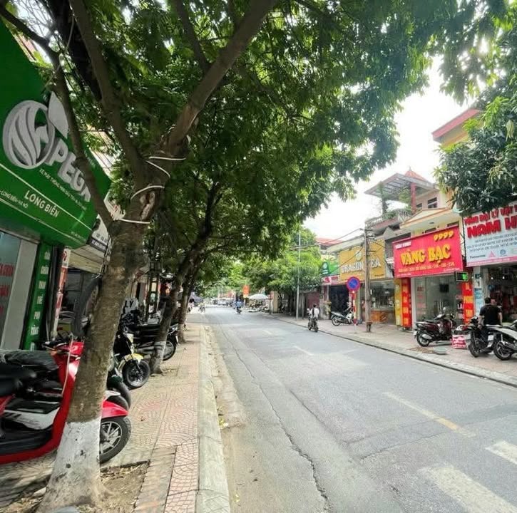 Đất Vàng Sài Đồng, Long Biên 202m² - Mặt Tiền 8m Kinh Doanh Đỉnh Cao