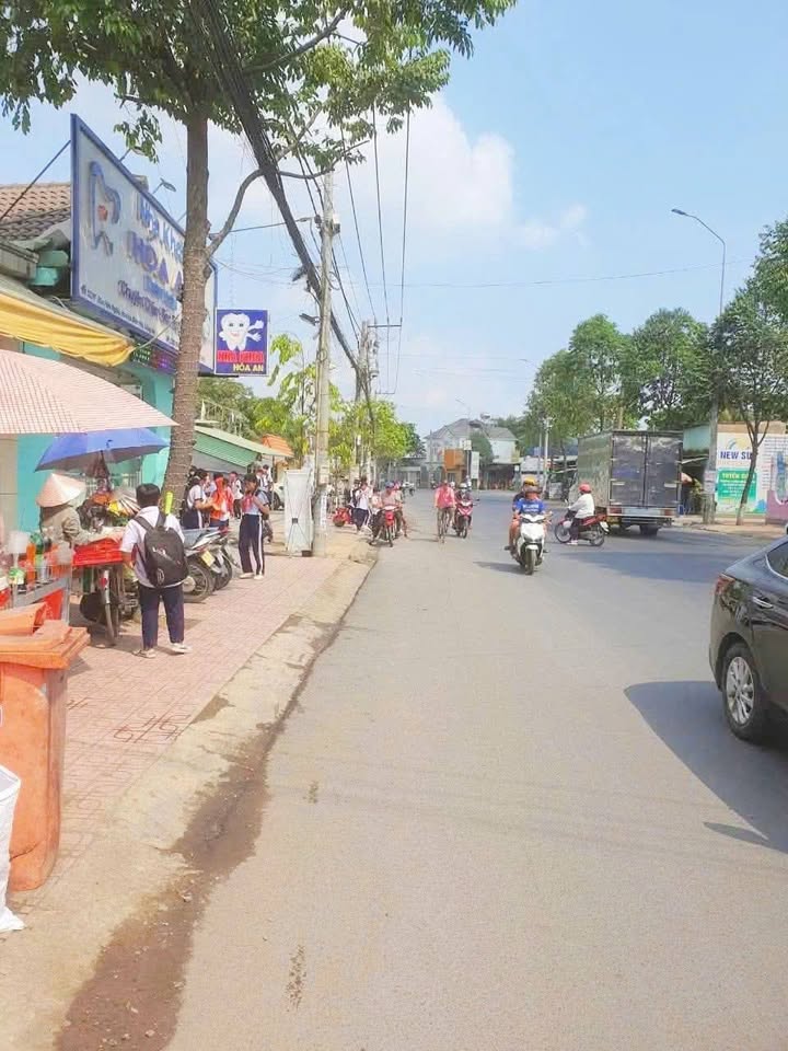 Nhà Nguyên Căn Mặt Tiền Bùi Hữu Nghĩa, Biên Hòa - Kinh Doanh Sầm Uất 220m²