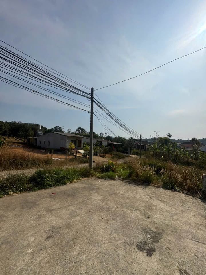 Bán Gấp Kho Xưởng 600m² Gia Nghĩa - Vị Trí Đắc Địa, Sẵn Sàng Kinh Doanh