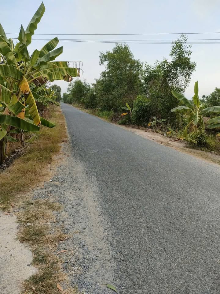 Đất vườn Đức Huệ 3139m² giá 2.4 tỷ - Nghỉ dưỡng lý tưởng!